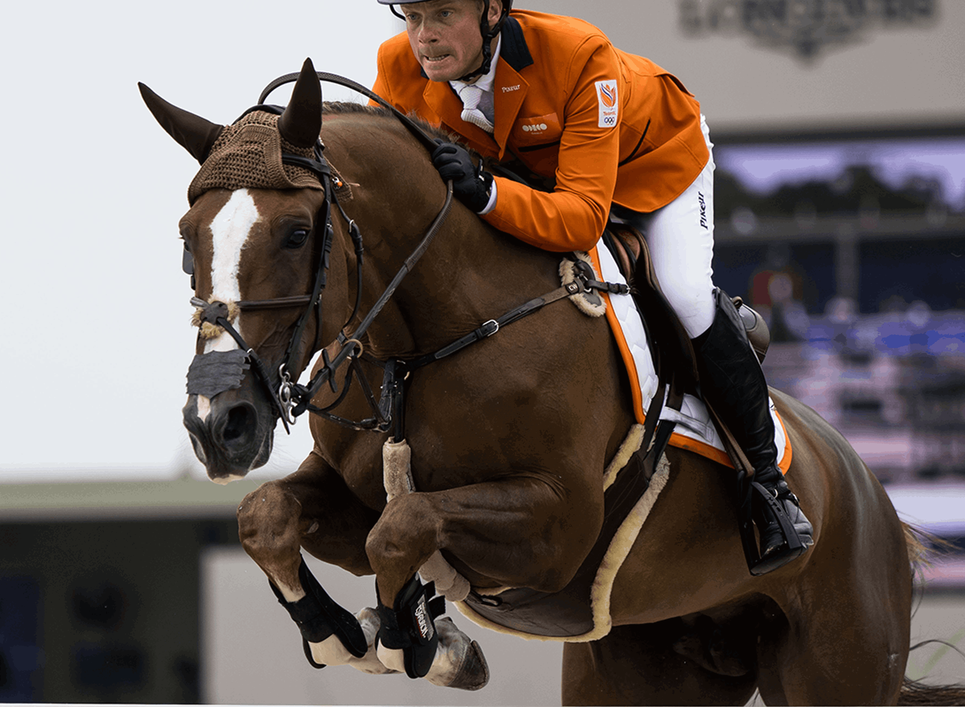 Willem Greve EK25 ANP