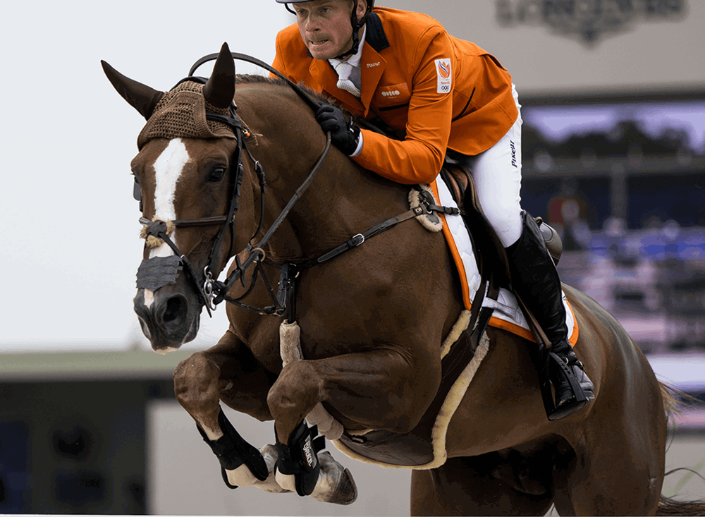 Willem Greve EK25 ANP