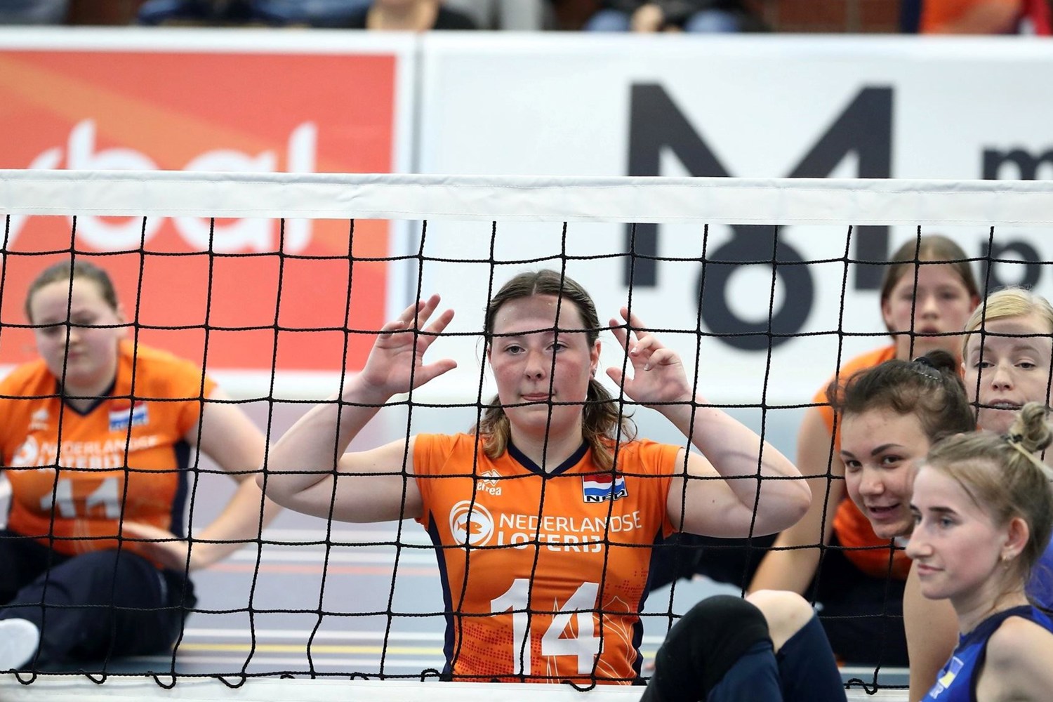zitvolleybalsters.jpg