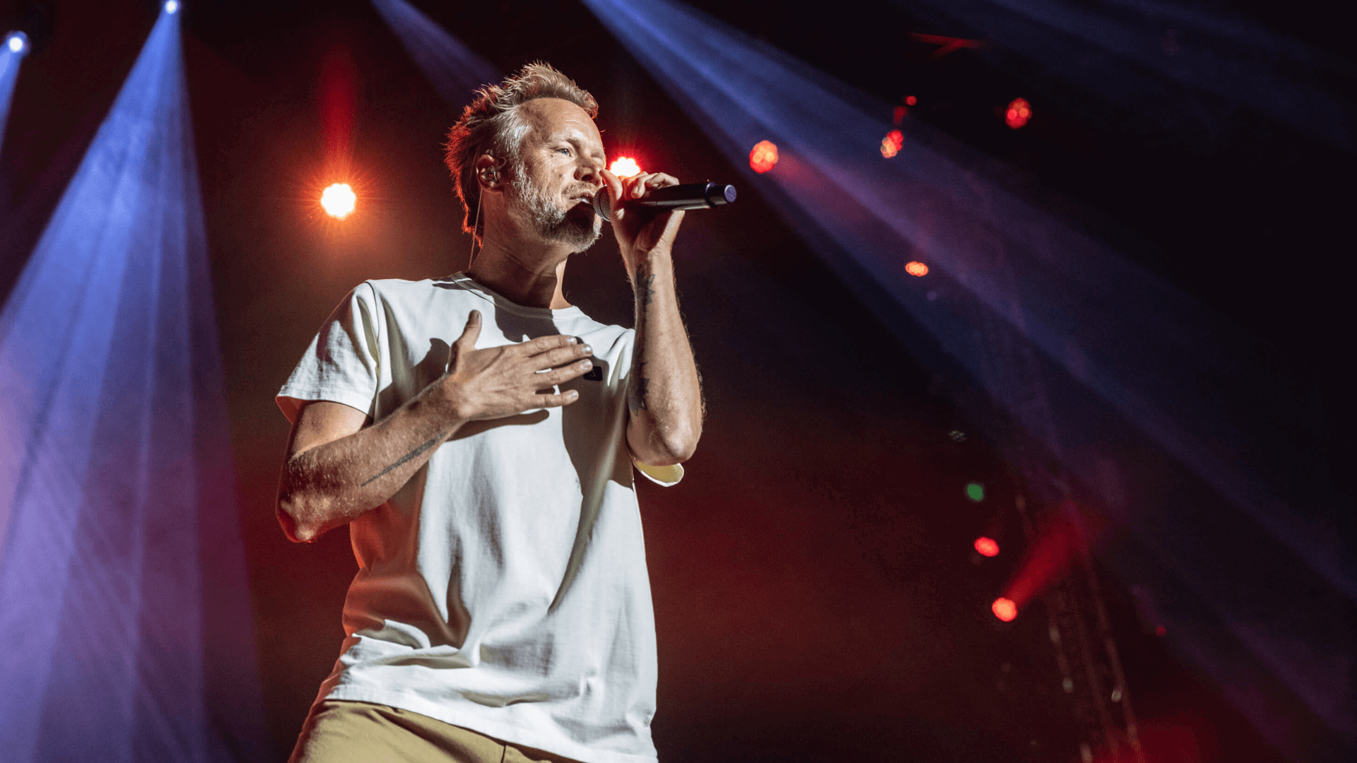 Diggy Dex Teamnl Huis