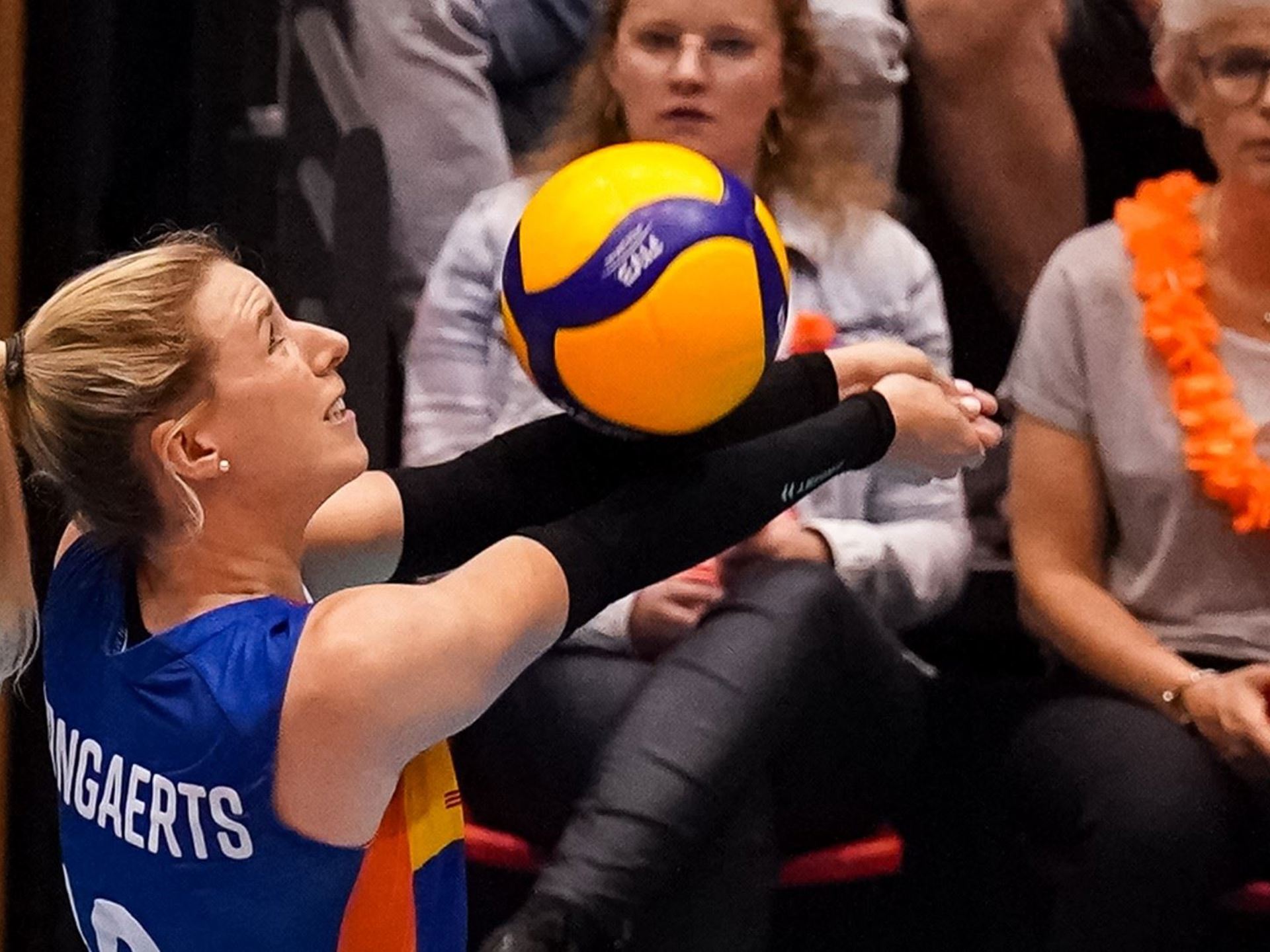 Britt Bongaerts actie.jpg