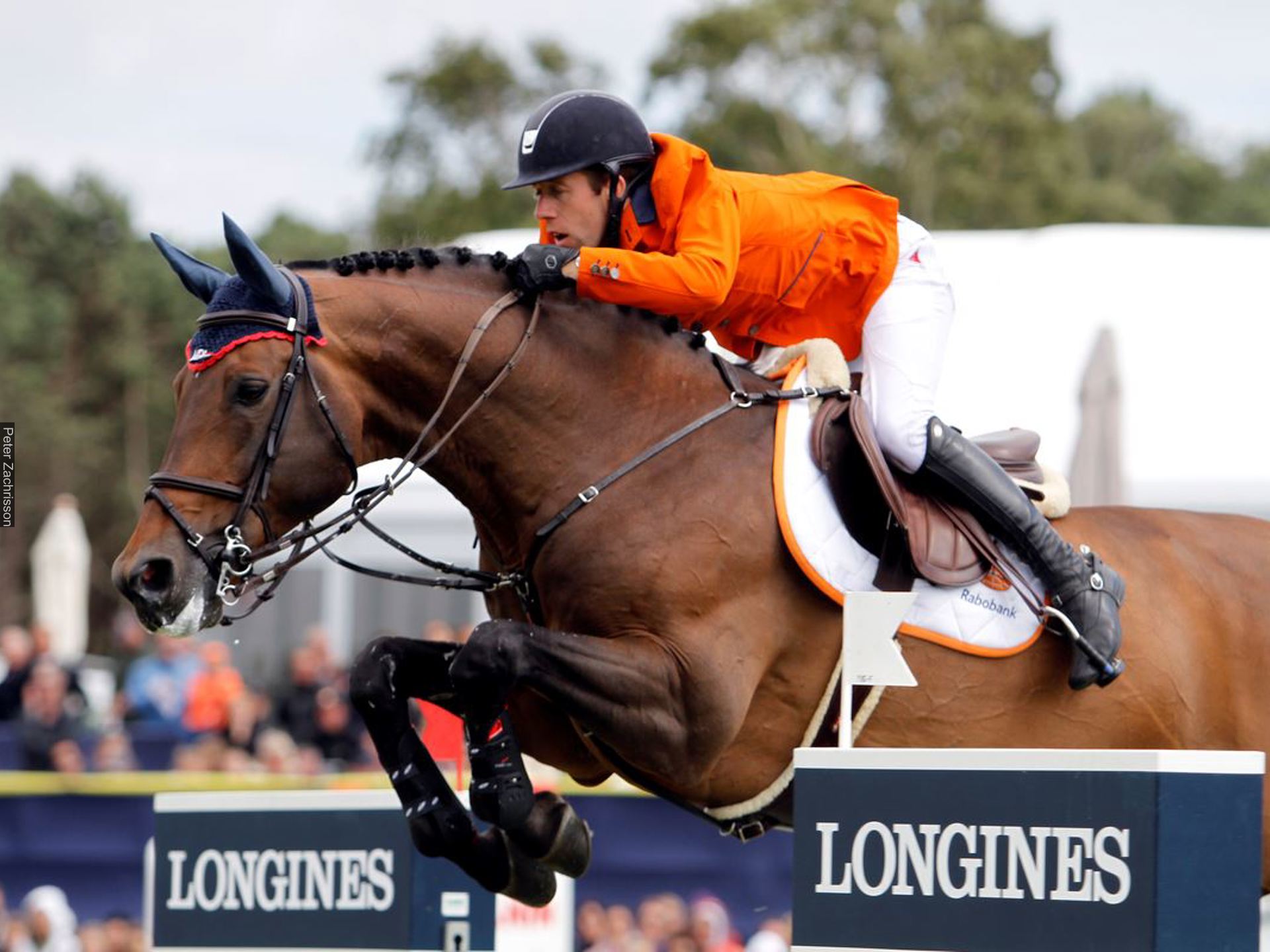 Maikel Van Der Vleuten VDL Groep Verdi TN N.O.P. springen paardensport2.JPG