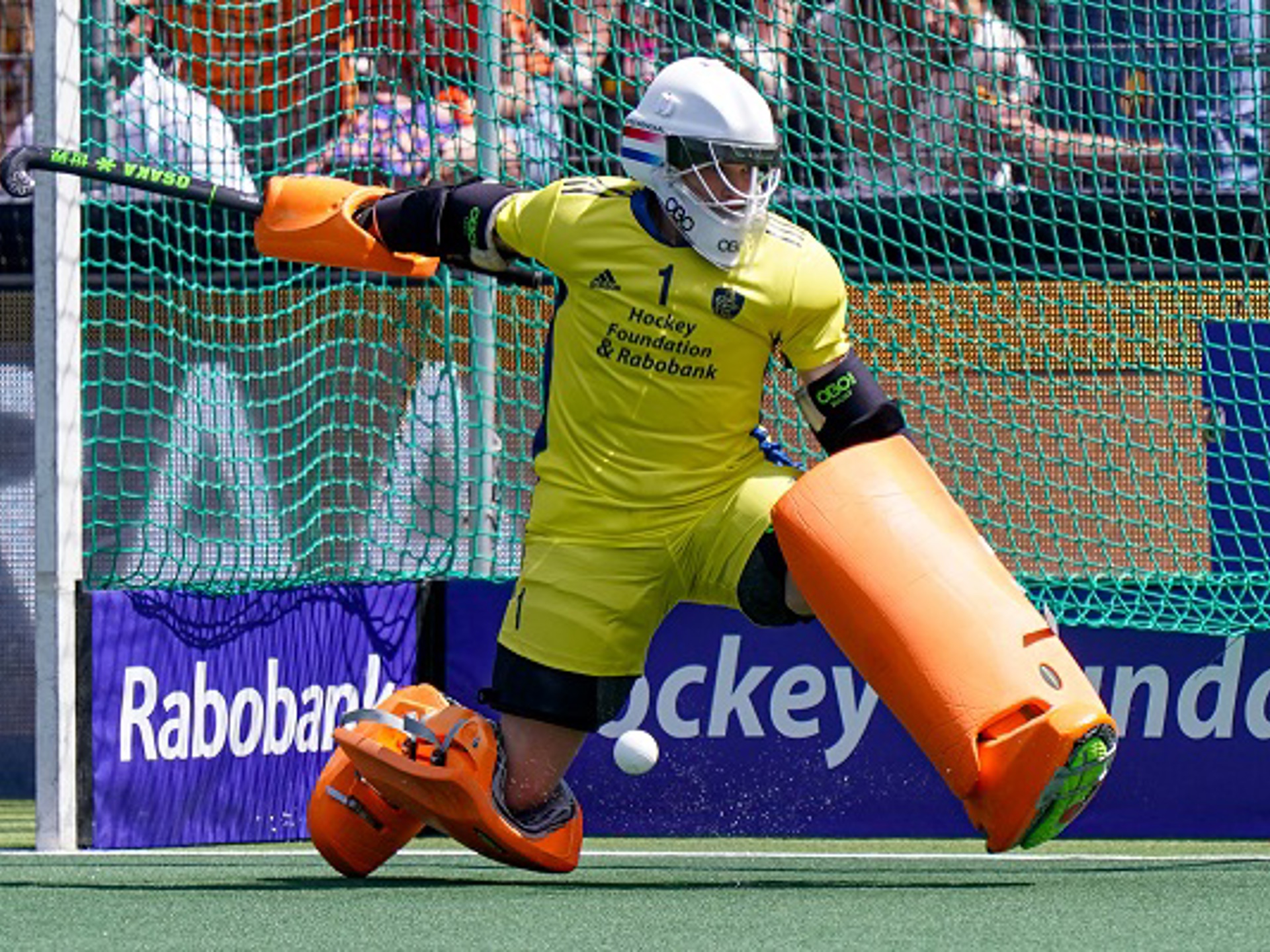 Anne Veenendaal Redding BSR AGENCY