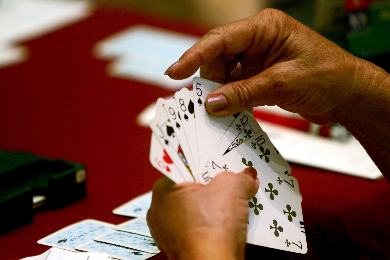 Bridge hand.jpg (1)