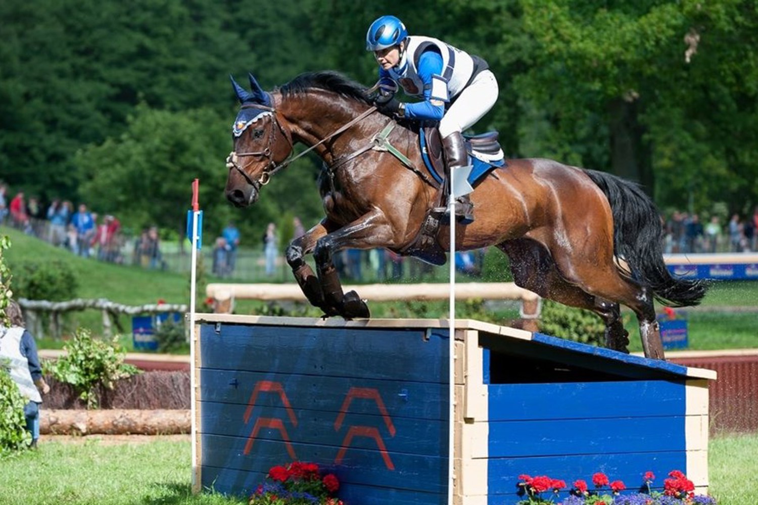 Alice Naber Lozeman Coral Estate Harry Belafonte eventing.JPG