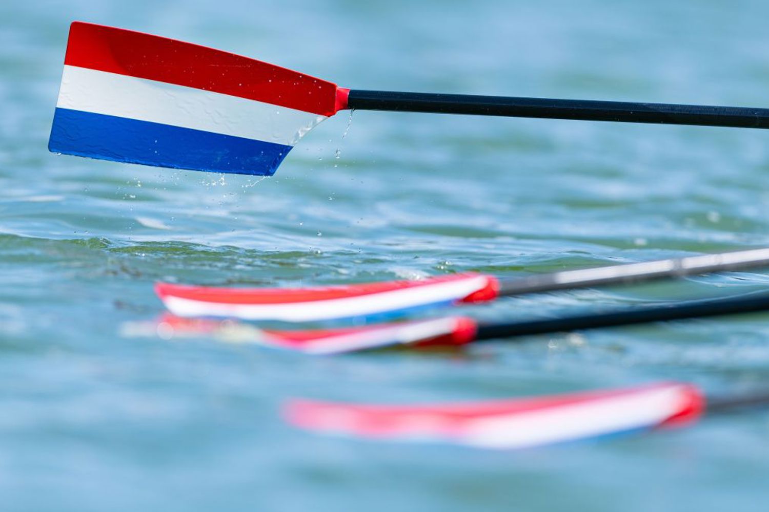 Peddels Roeien ANP 1080X679