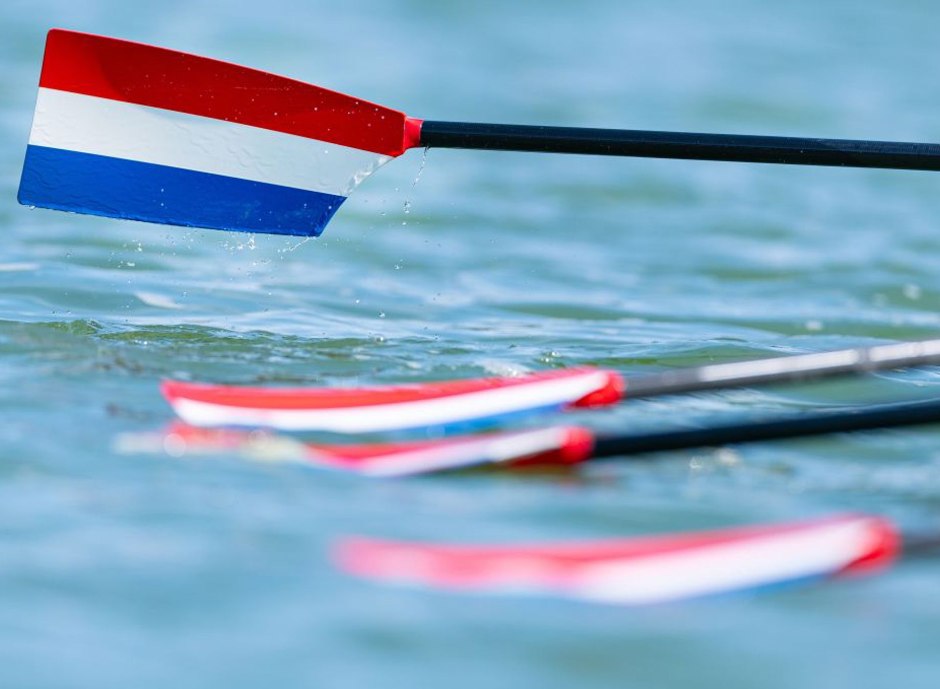 Peddels Roeien ANP 1080X679