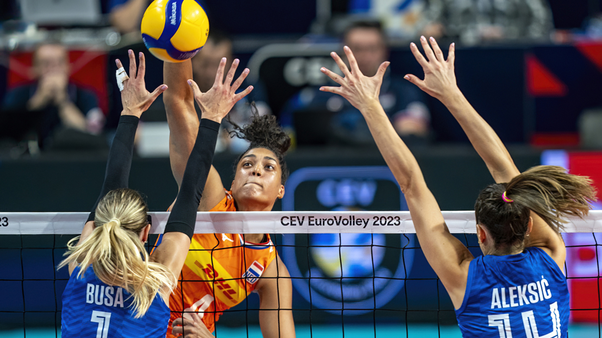 Celeste Plak EK 2023 ANP