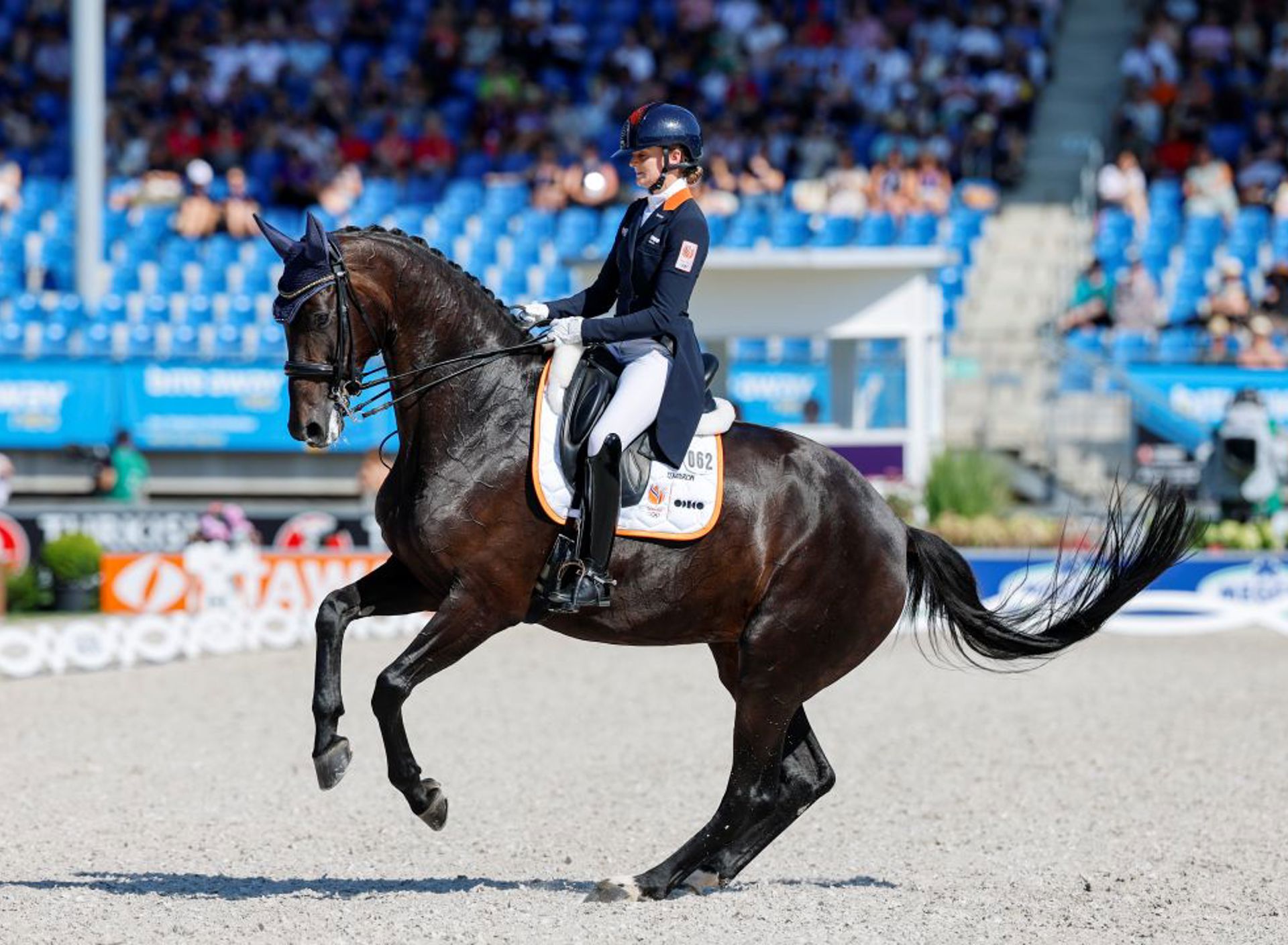 Marieke Van Der Putten Met Zantana Wk 2026 ANP Peter Lipton 1080X720