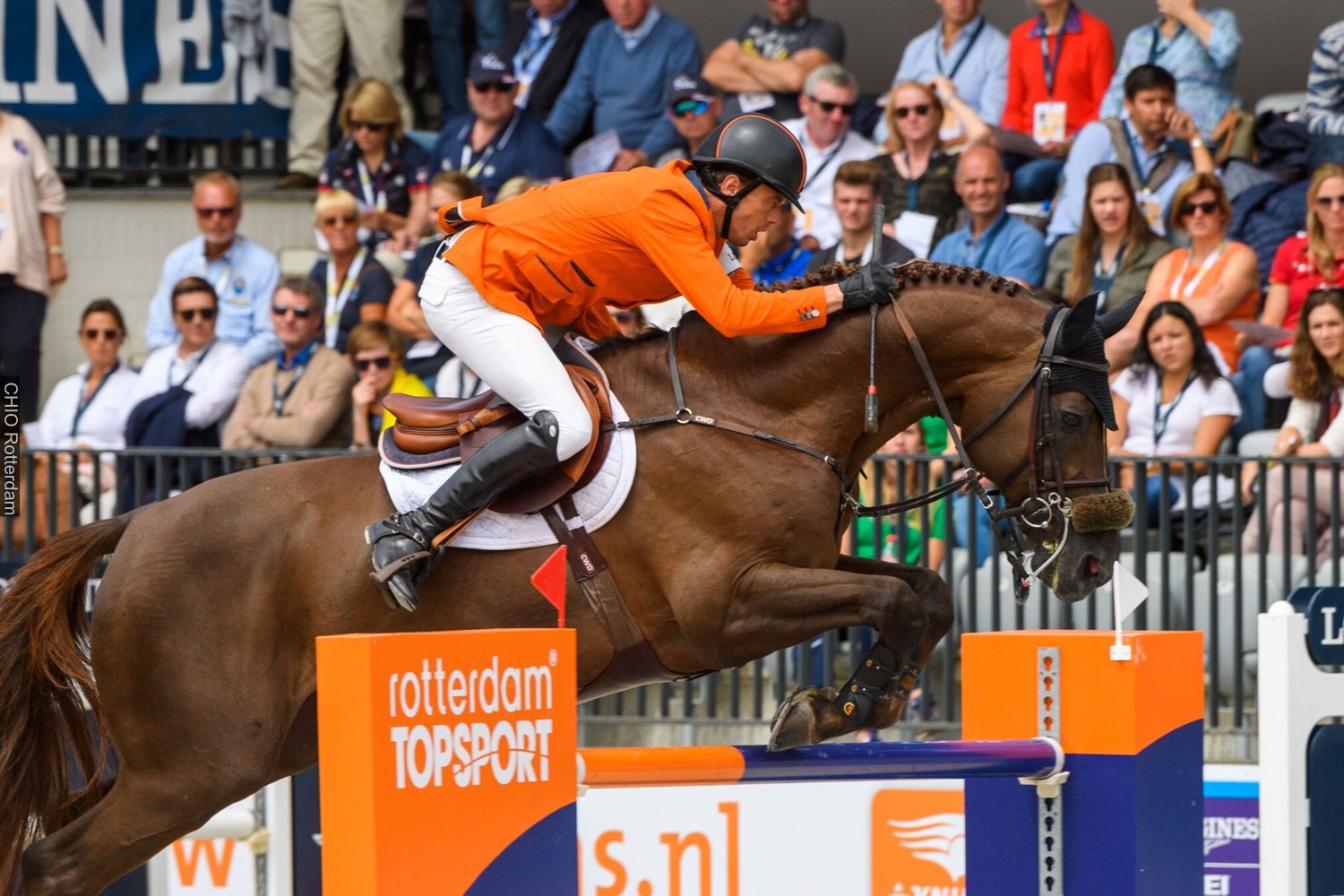 Harry Smolders in Rotterdam Foto Anita Lussenburg.jpeg