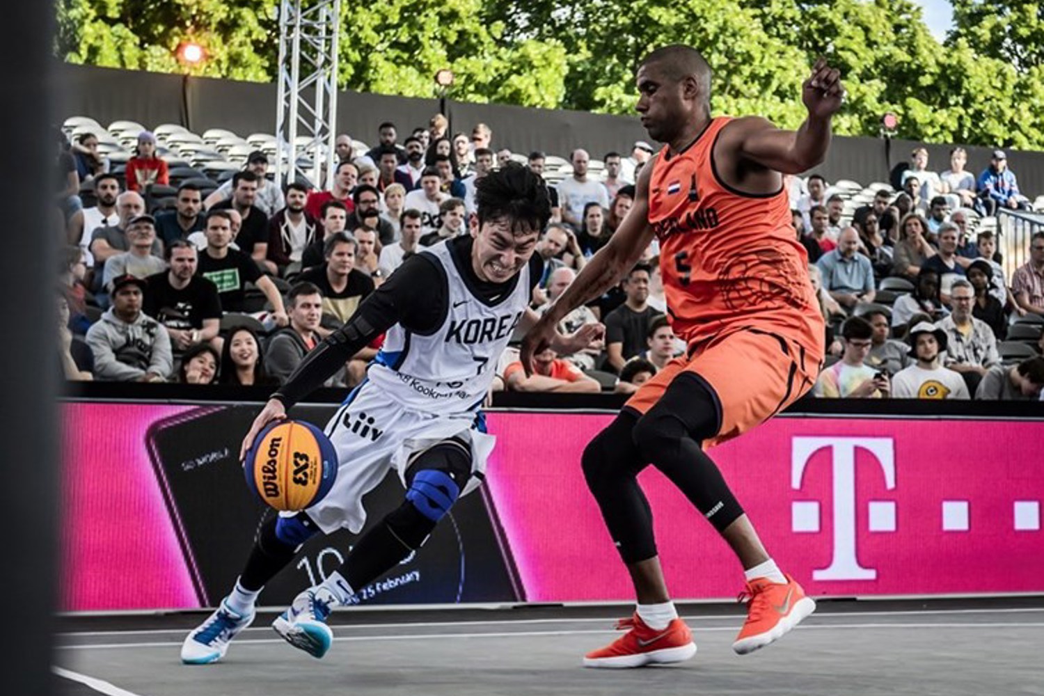 Dimeo van der Horst WK 3x3 nedkor2.jpg