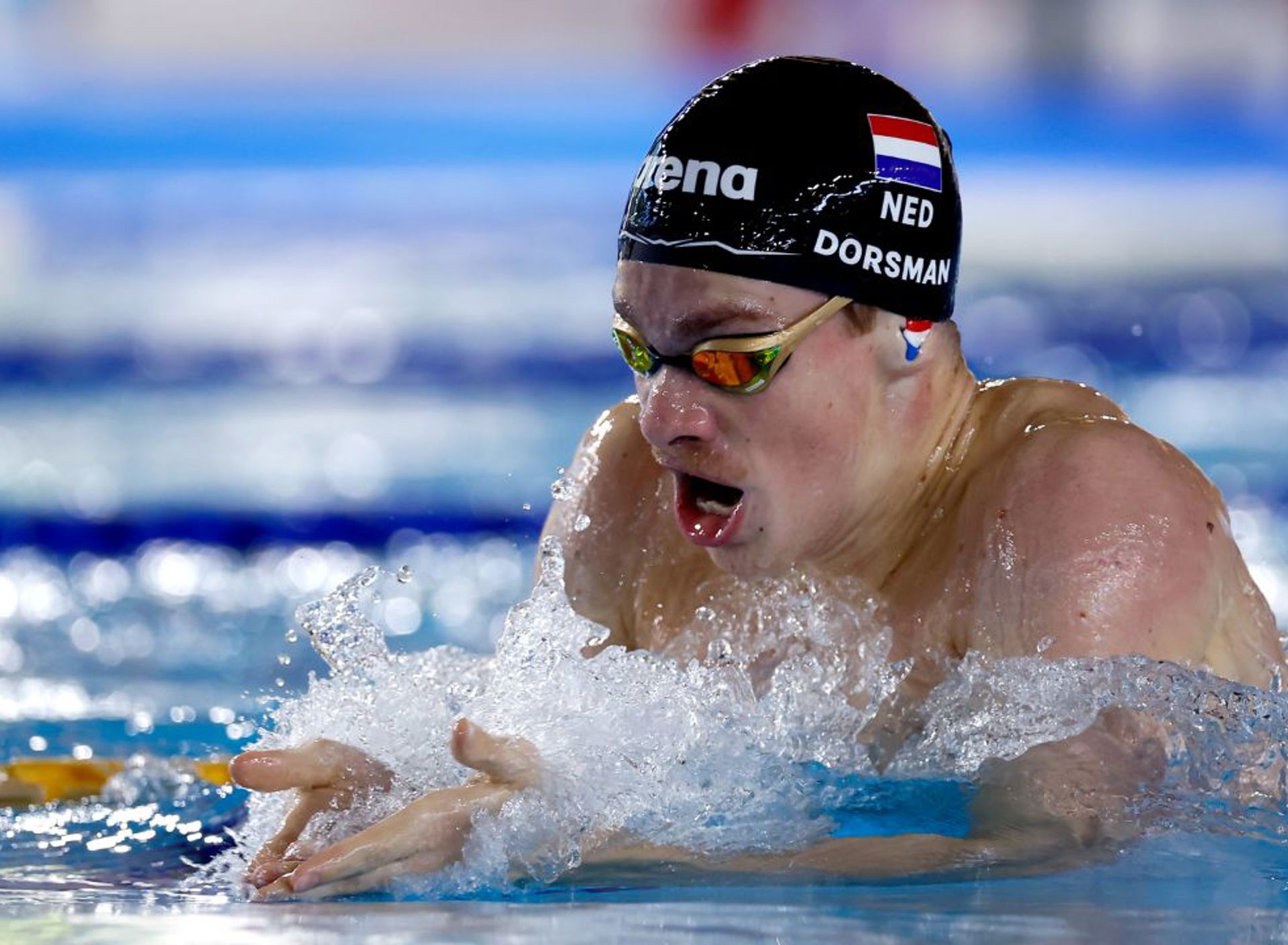 Rogier Dorsman 2026 Foto KNZB