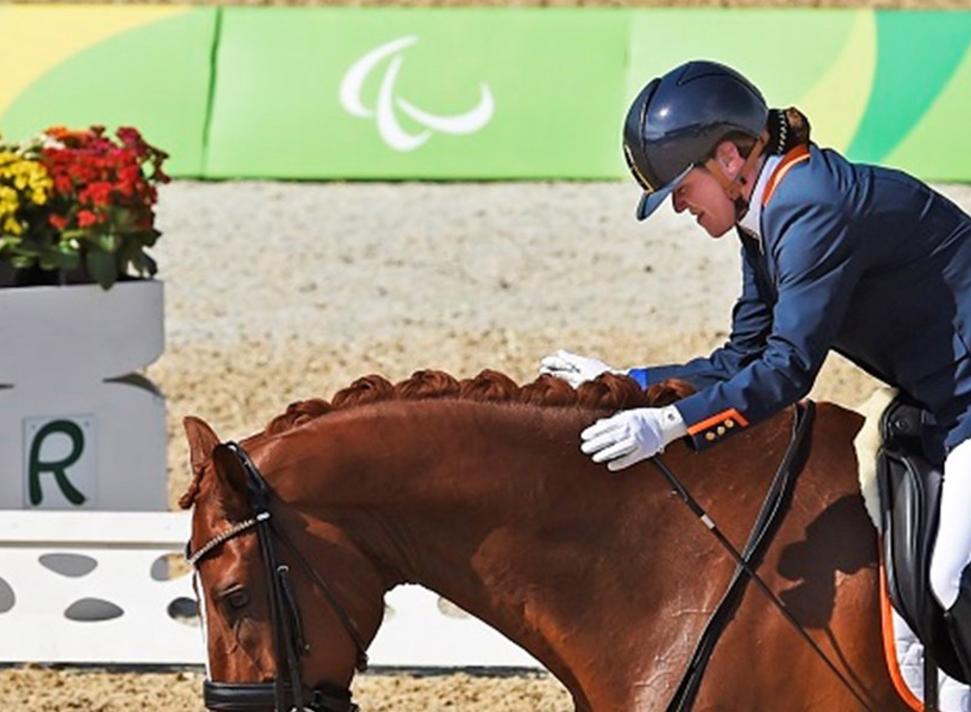 Sanne Voets 800X555