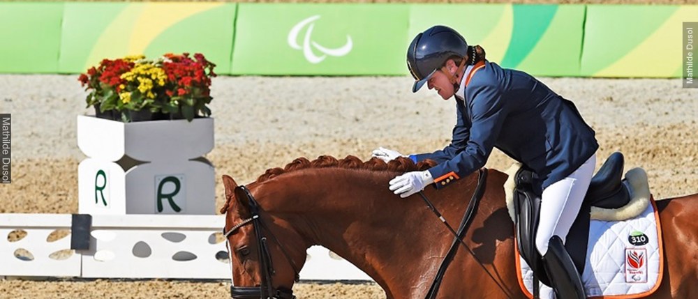 Sanne Voets 800X555