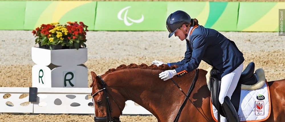 Sanne Voets 800X555