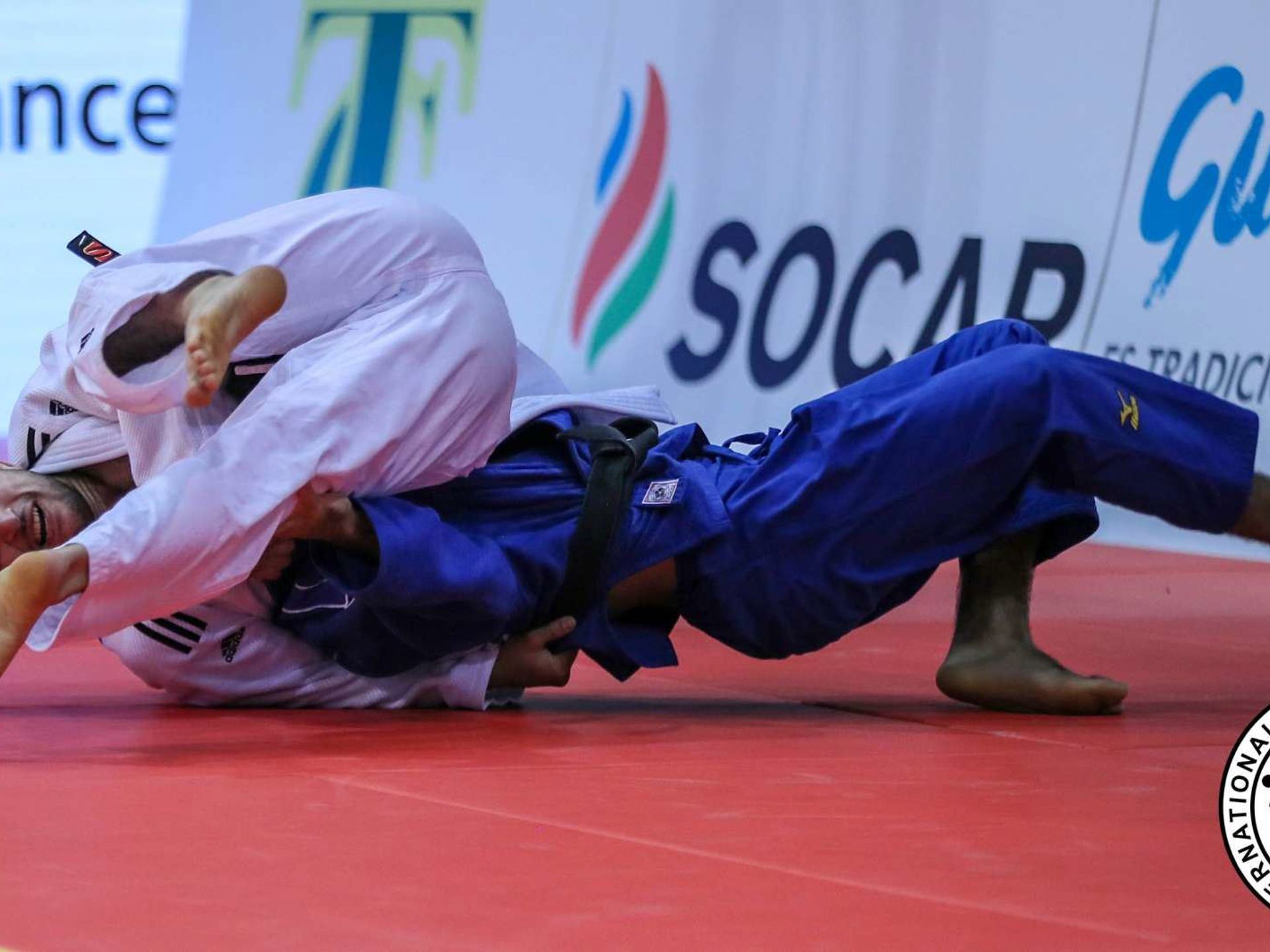 CGS_2612-1539396988-1539396988.JPG (1)