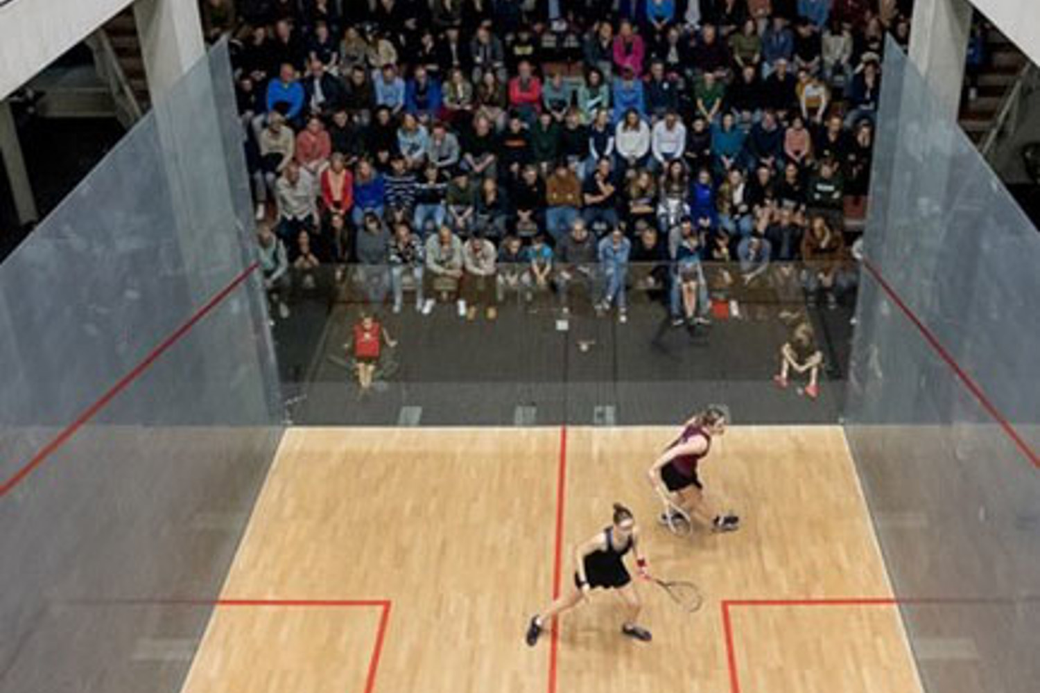 Squash Foto Gerhard Nel 1080X1080