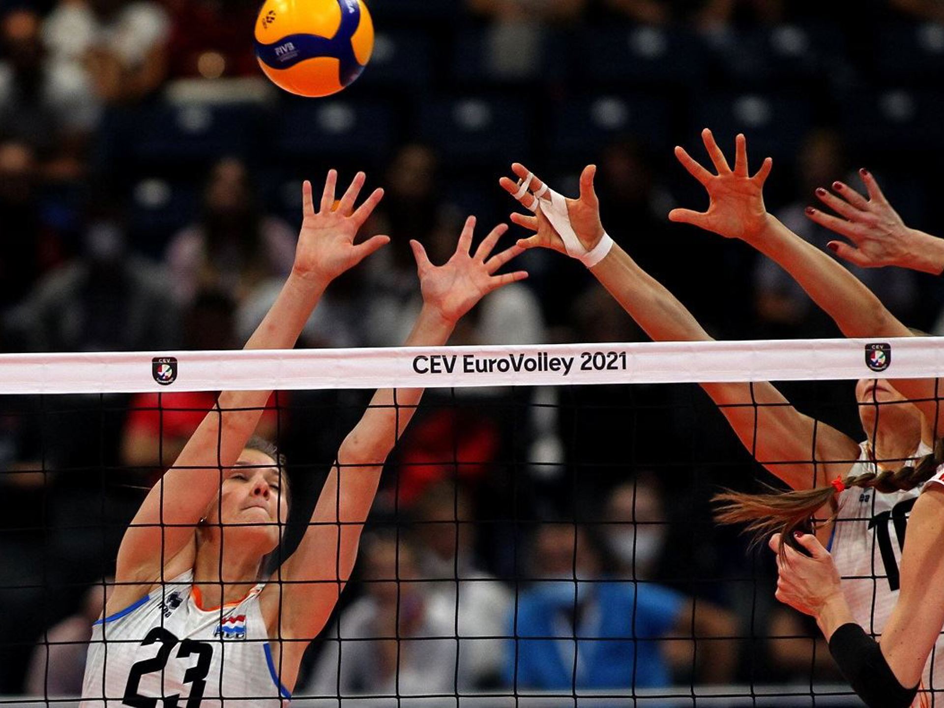 Eline Timmerman BSR_AGENCY.jpg