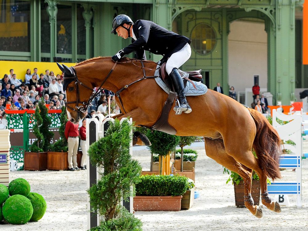 Marc Houtzager GP Hermes of Paris 2014 GettyImages David Ramos 478858699.jpg
