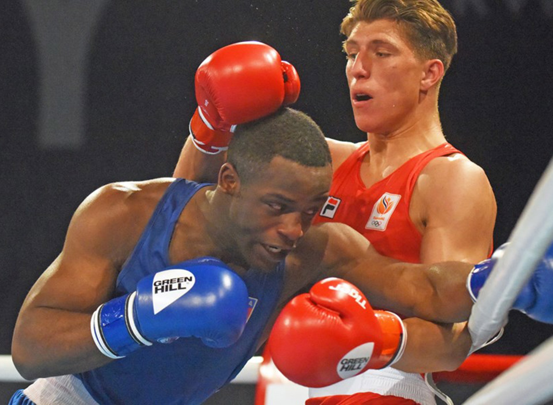 Gradus Kraus BSR AGENCY 1200X775