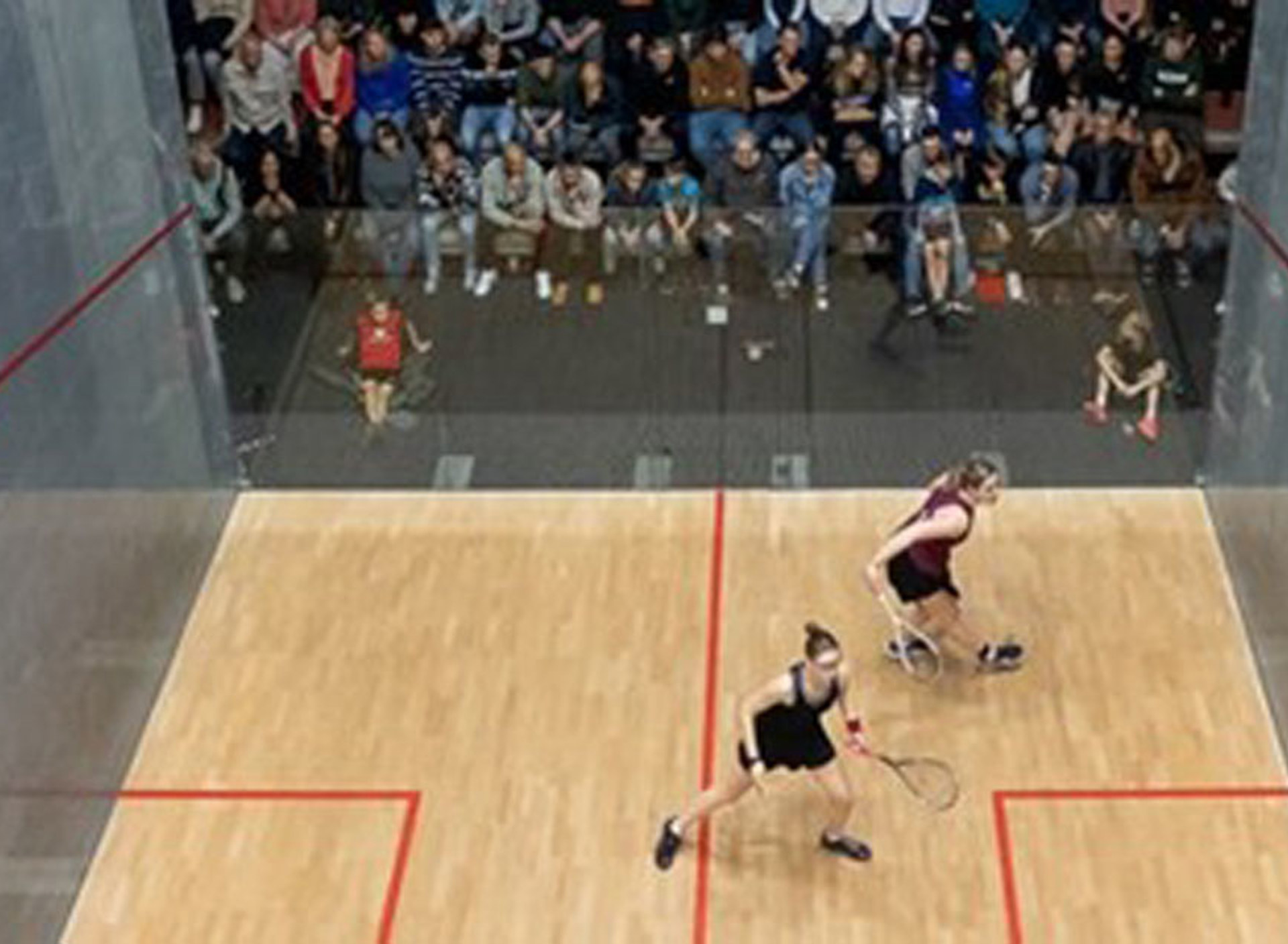 Squash Foto Gerhard Nel 1200X630