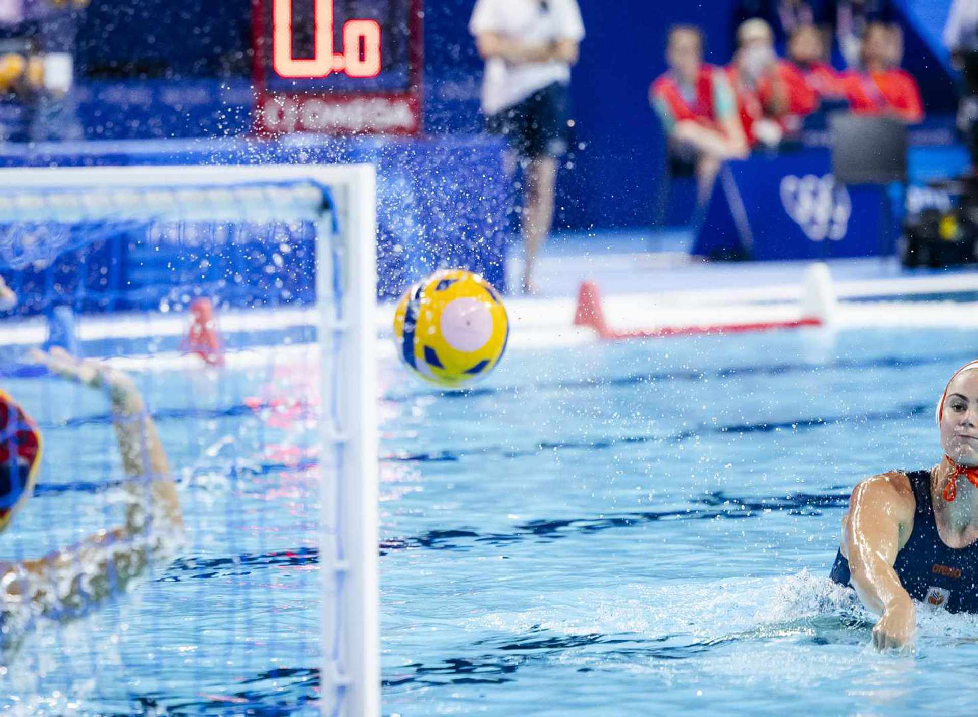 Brigitte Sleeking ANP 2024